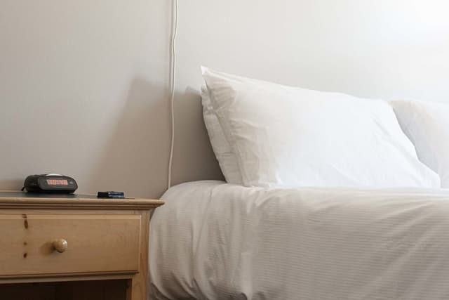 Classic Room, 1 King Bed with Sofa bed