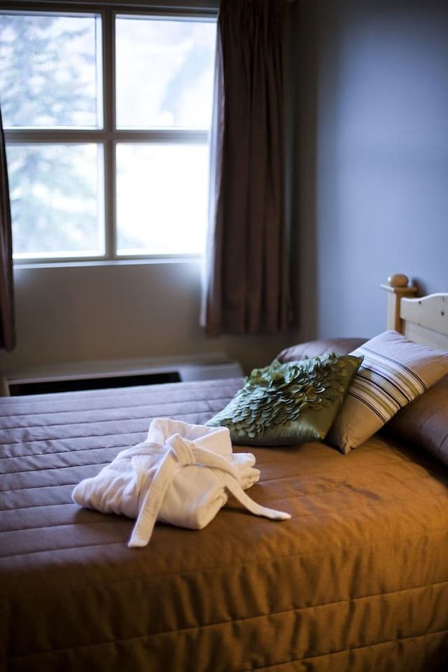 Classic Room, 1 Queen Bed with Sofa bed