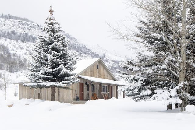 Twin Cabin (1 King, Full Kitchen, No Pets)