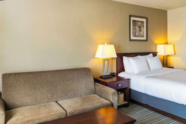 Room, 1 Queen Bed with Sofa bed, Accessible, Non Smoking