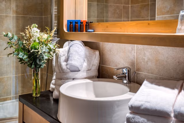Room (La Chambree)