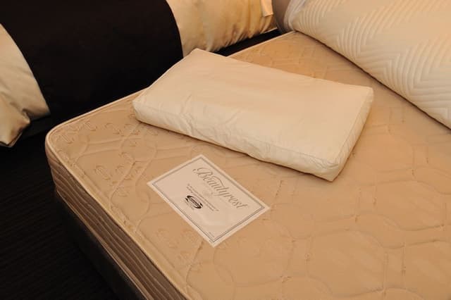 Cozy Twin Room(15.7m2)Bed size 100cm×2, Smoking, Breakfast Included