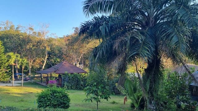 Queen Air Conditioning Room with Garden View