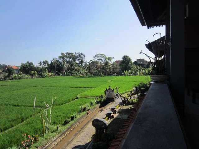 Superior Room, 1 Double Bed, Balcony