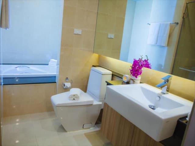 Jacuzzi Premier Room