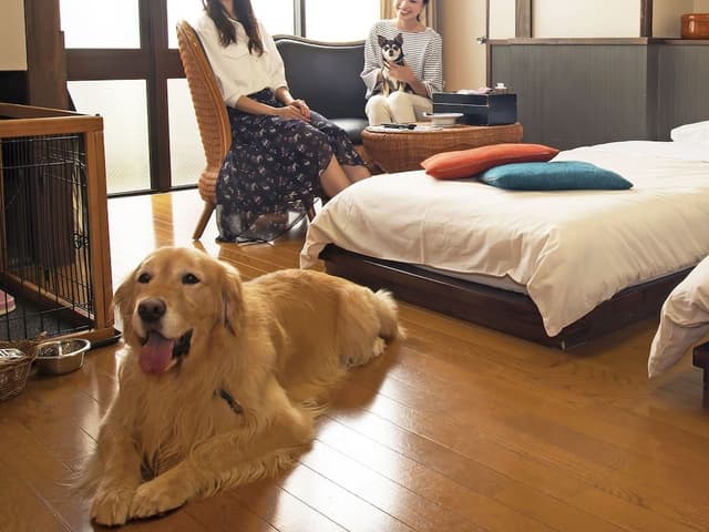Dog Friendly - Twin Room, Smoking, Annex Building, Shared Bath
