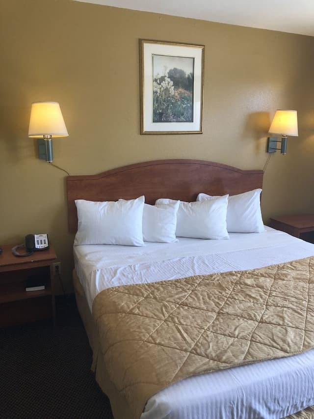 Room, 1 King Bed, Non Smoking
