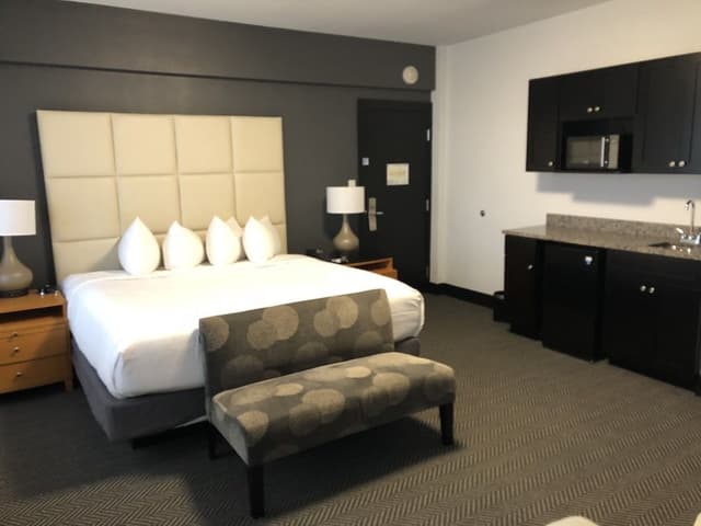 Studio, 1 King Bed (One King Bed Studio Suite)