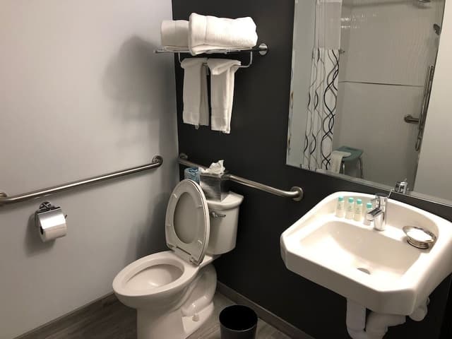Standard Room, 1 Queen Bed (ADA One Queen Bed with Roll-in Shower)