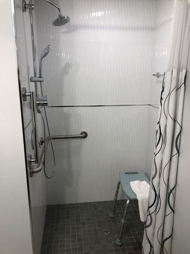 Standard Room, 1 Queen Bed (ADA One Queen Bed with Roll-in Shower)