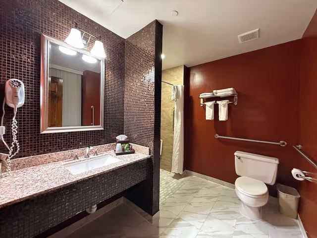 Classic Room, 1 Queen Bed, Roll-in Shower, Corner
