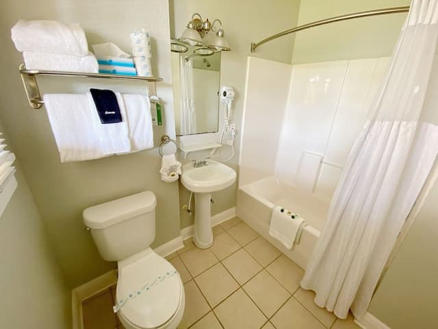 Premier Room, 1 King Bed with Sofa bed, Terrace, Garden View