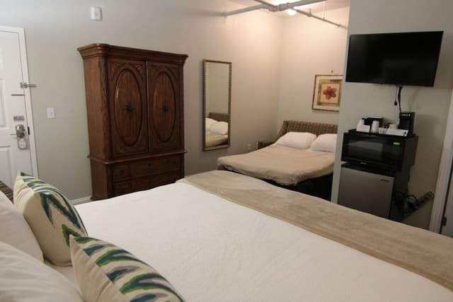 Premier Room, 1 King Bed with Sofa bed, Terrace, Garden View