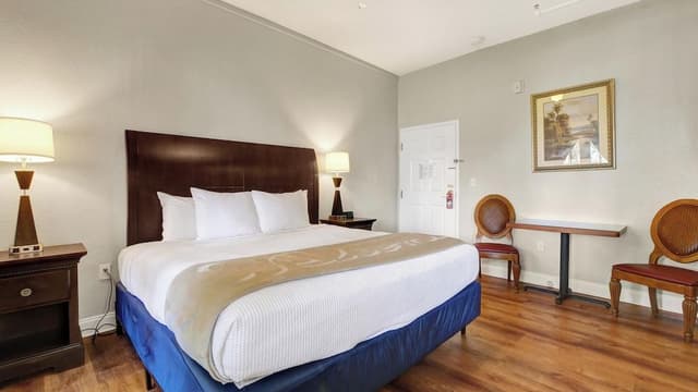 Premier Room, 1 King Bed, Terrace, Garden View