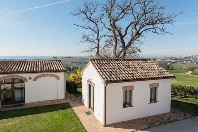 Honeymoon Apartment (Viole)