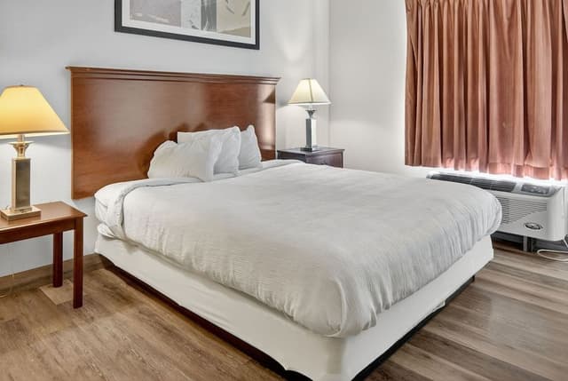 Standard Single Room