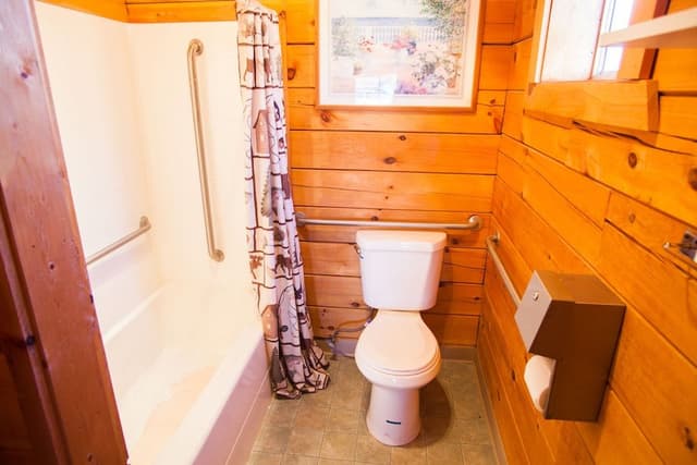 Standard Cabin, 1 King Bed