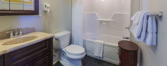 Superior Suite, 1 King Bed