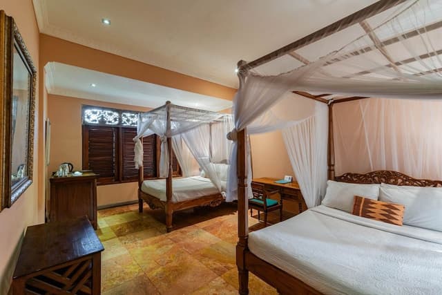 Deluxe Double or Twin Room