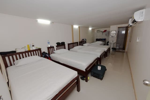 Comfort Shared Dormitory, Private Bathroom