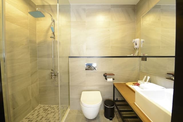 Deluxe Double Room, 1 King Bed