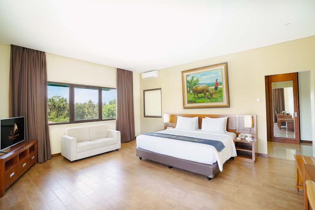 Suite Room