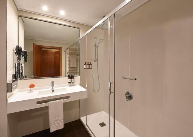 Family Connecting Room (2 Adults + 2 Children)