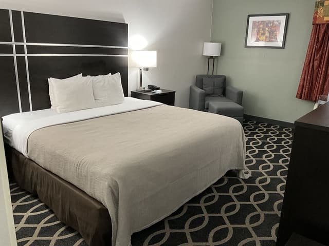 Standard Room, 1 King Bed, Non Smoking