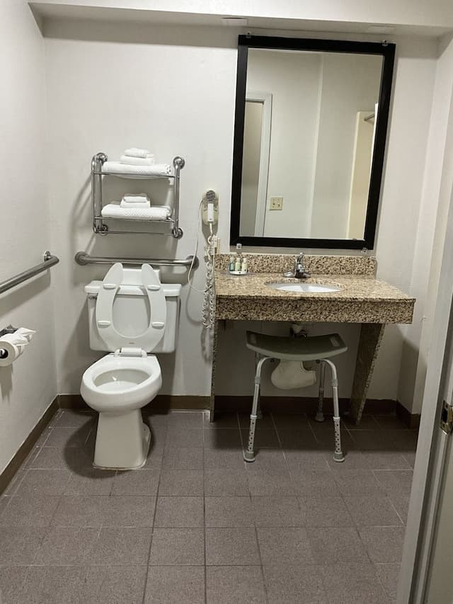 Room, 1 King Bed, Accessible, Non Smoking