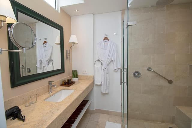 1 King Bed, Deluxe Room