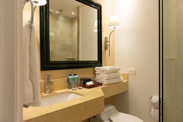 1 King Bed, Deluxe Room