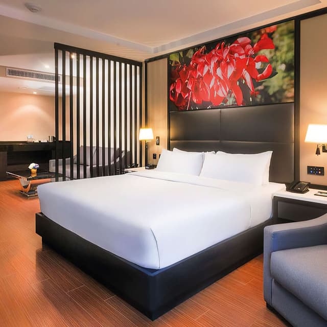 1 KING BED JUNIOR SUITE