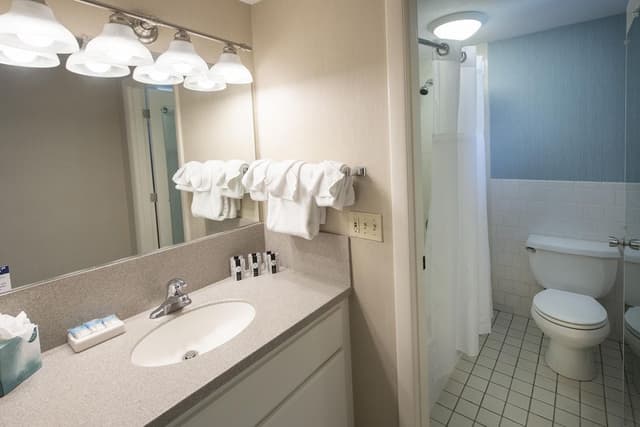 Premium Suite, Multiple Beds