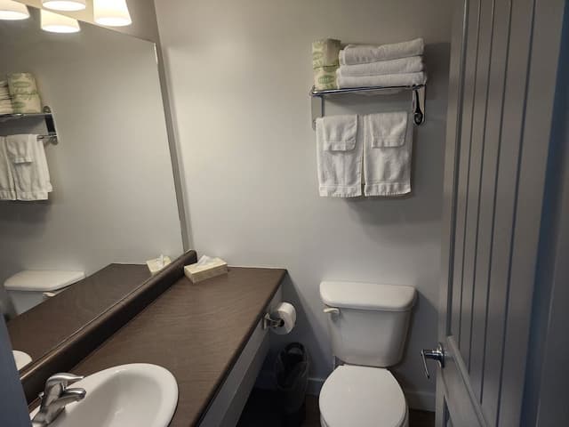 Standard Room, 1 Queen Bed, Refrigerator & Microwave, Ground Floor