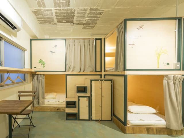 Shared Dormitory, Mixed Dorm