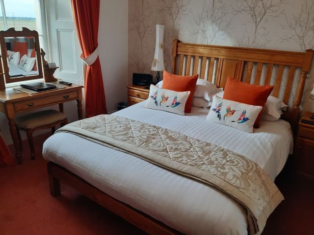Double Room, 1 King Bed