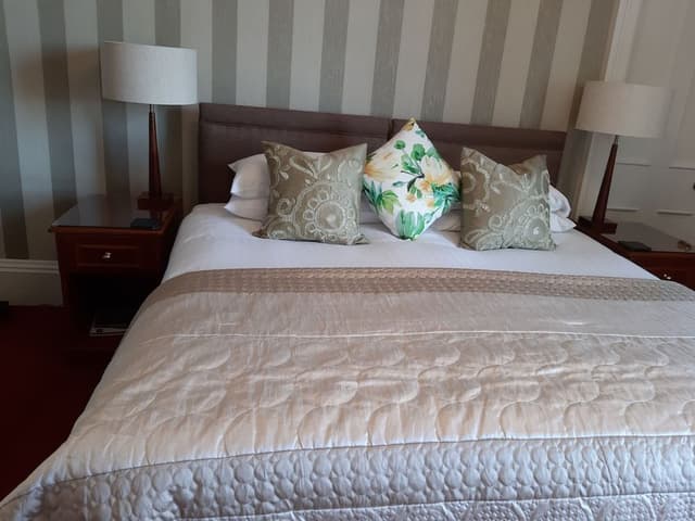 Double Room, 1 King Bed