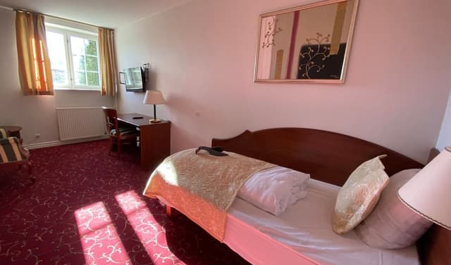 Standard Single Room, 1 Twin Bed