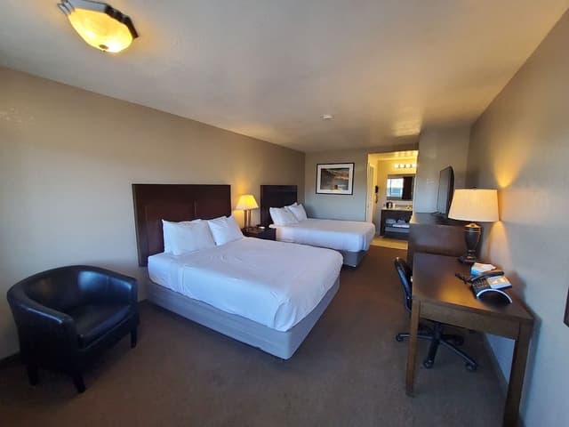 Basic Double Room, City View