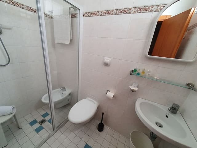 Basic Triple Room