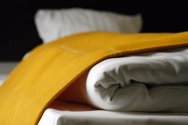Business Single Room, 1 Queen Bed (LAKE)