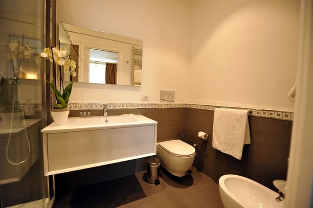 Standard Double Room, 1 Queen Bed (Piazza di Spagna)