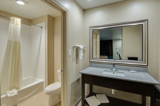 Room, 1 King Bed, Hot Tub Non Smoking