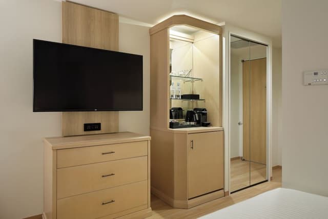 Room, 1 King Bed with Sofa bed