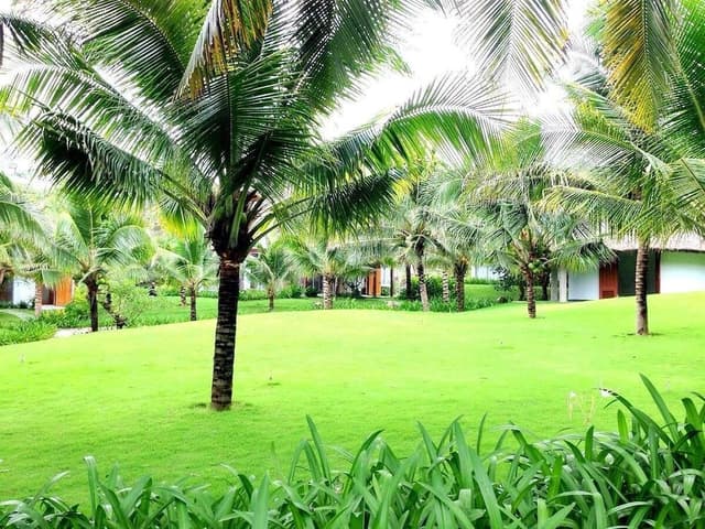 Deluxe Room, Garden View
