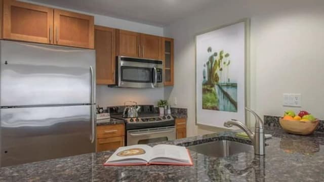 City Apartment, 1 Bedroom