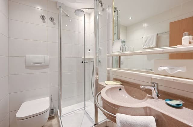Basic Single Room, Lake View