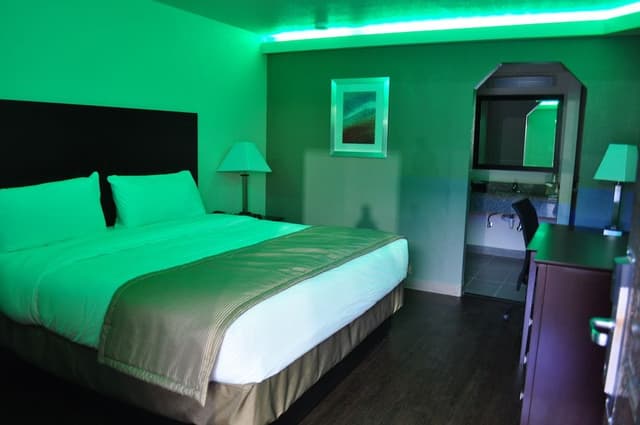 Room, 1 King Bed, Smoking
