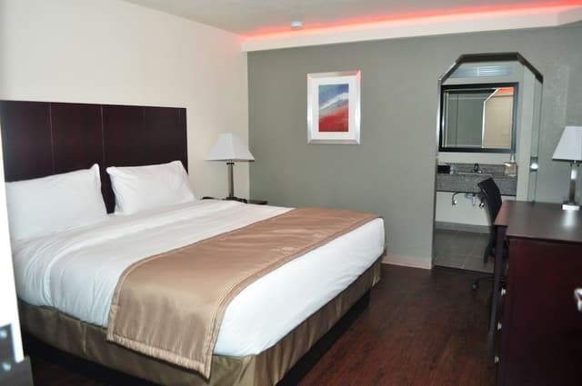 Room, 1 King Bed, Smoking