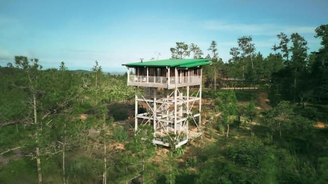 Fire Tower